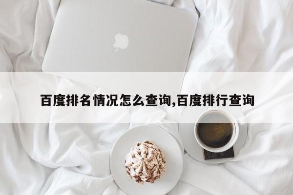 百度排名情况怎么查询,百度排行查询