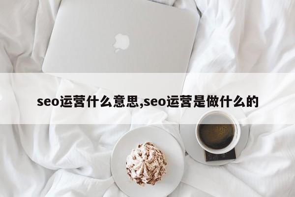 seo运营什么意思,seo运营是做什么的