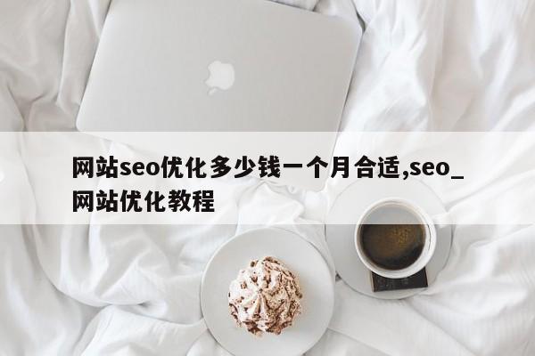 网站seo优化多少钱一个月合适,seo_网站优化教程