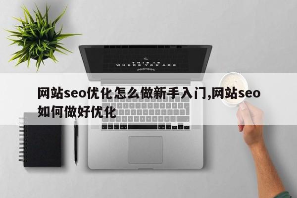 网站seo优化怎么做新手入门,网站seo如何做好优化