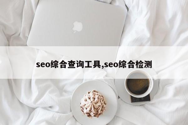 seo综合查询工具,seo综合检测