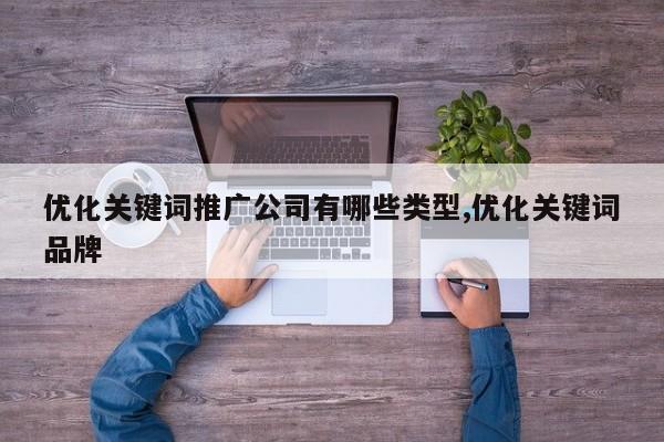 优化关键词推广公司有哪些类型,优化关键词品牌