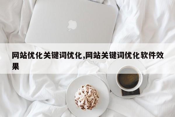 网站优化关键词优化,网站关键词优化软件效果