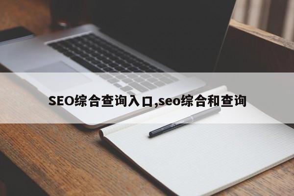 SEO综合查询入口,seo综合和查询