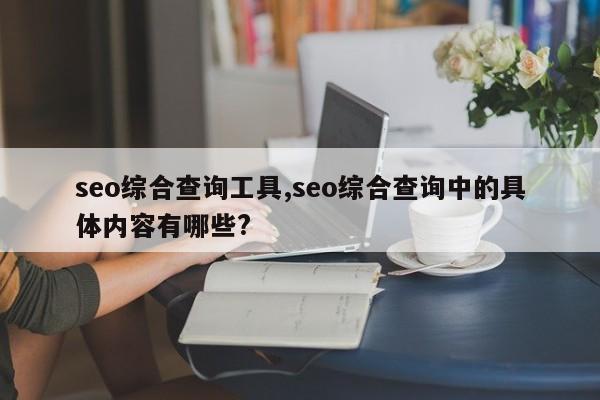 seo综合查询工具,seo综合查询中的具体内容有哪些?
