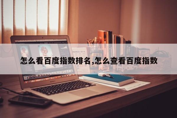 怎么看百度指数排名,怎么查看百度指数