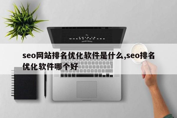 seo网站排名优化软件是什么,seo排名优化软件哪个好