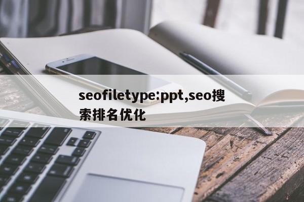 seofiletype:ppt,seo搜索排名优化