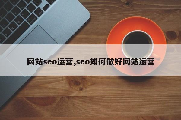 网站seo运营,seo如何做好网站运营