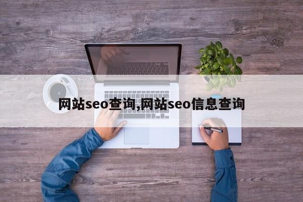 网站seo查询,网站seo信息查询