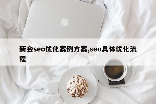 新会seo优化案例方案,seo具体优化流程