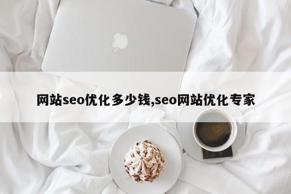 网站seo优化多少钱,seo网站优化专家