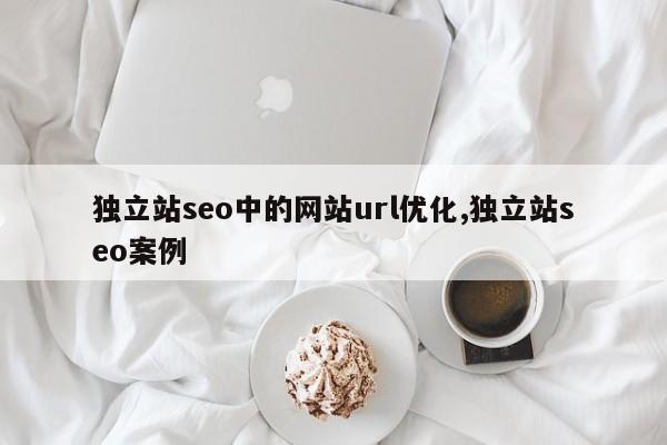 独立站seo中的网站url优化,独立站seo案例