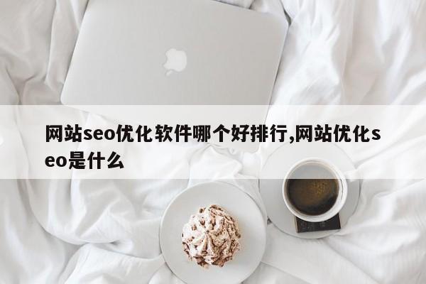 网站seo优化软件哪个好排行,网站优化seo是什么