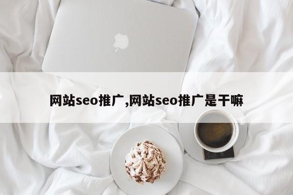 网站seo推广,网站seo推广是干嘛