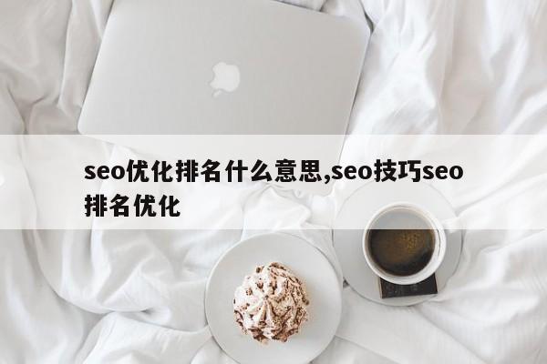seo优化排名什么意思,seo技巧seo排名优化
