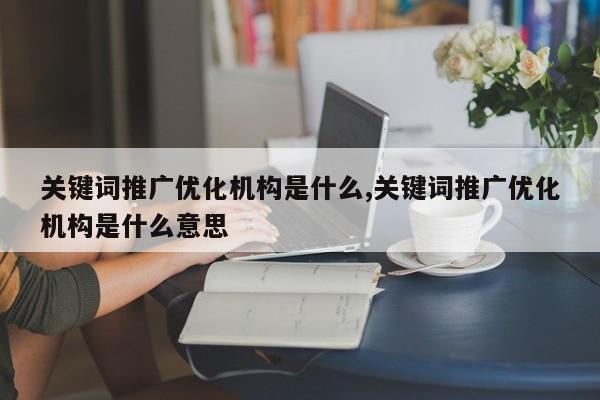 关键词推广优化机构是什么,关键词推广优化机构是什么意思