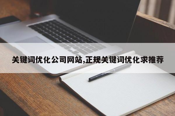关键词优化公司网站,正规关键词优化求推荐