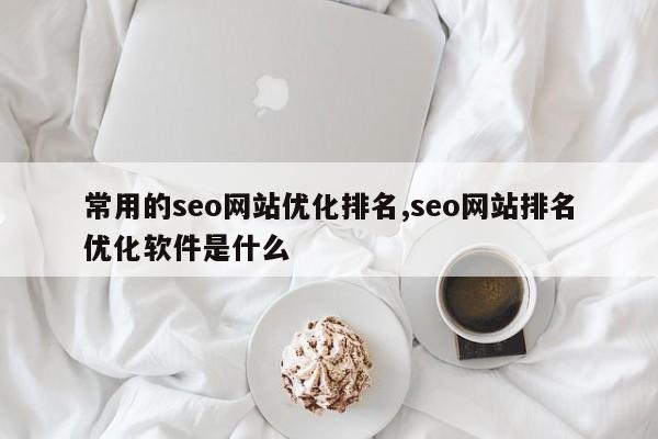 常用的seo网站优化排名,seo网站排名优化软件是什么