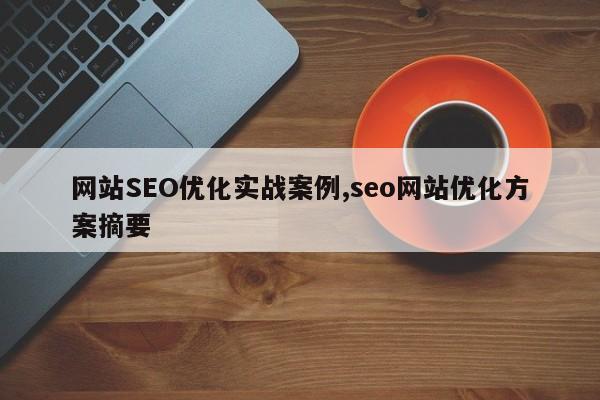 网站SEO优化实战案例,seo网站优化方案摘要