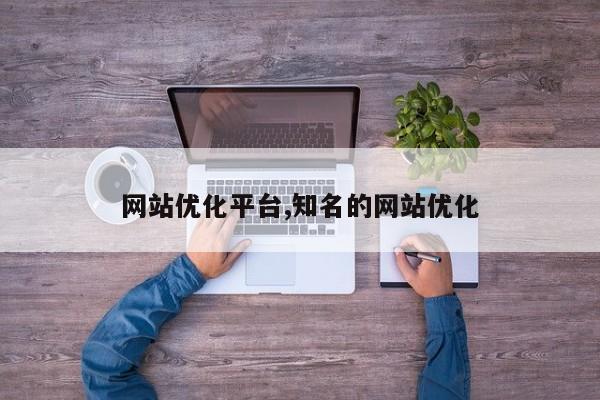 网站优化平台,知名的网站优化