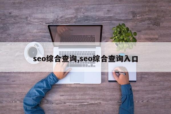 seo综合查询,seo综合查询入口