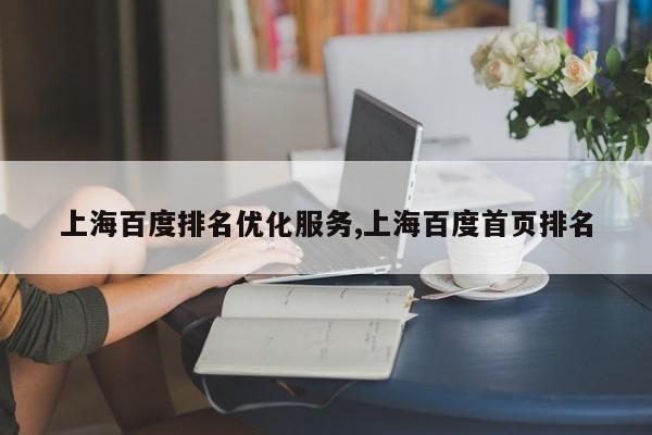 上海百度排名优化服务,上海百度首页排名